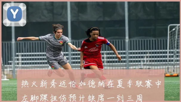 热火新秀迈伦加德纳在夏季联赛中左脚踝扭伤预计缺席一到三周